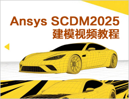 Ansys SCDM2025ģƵ̳